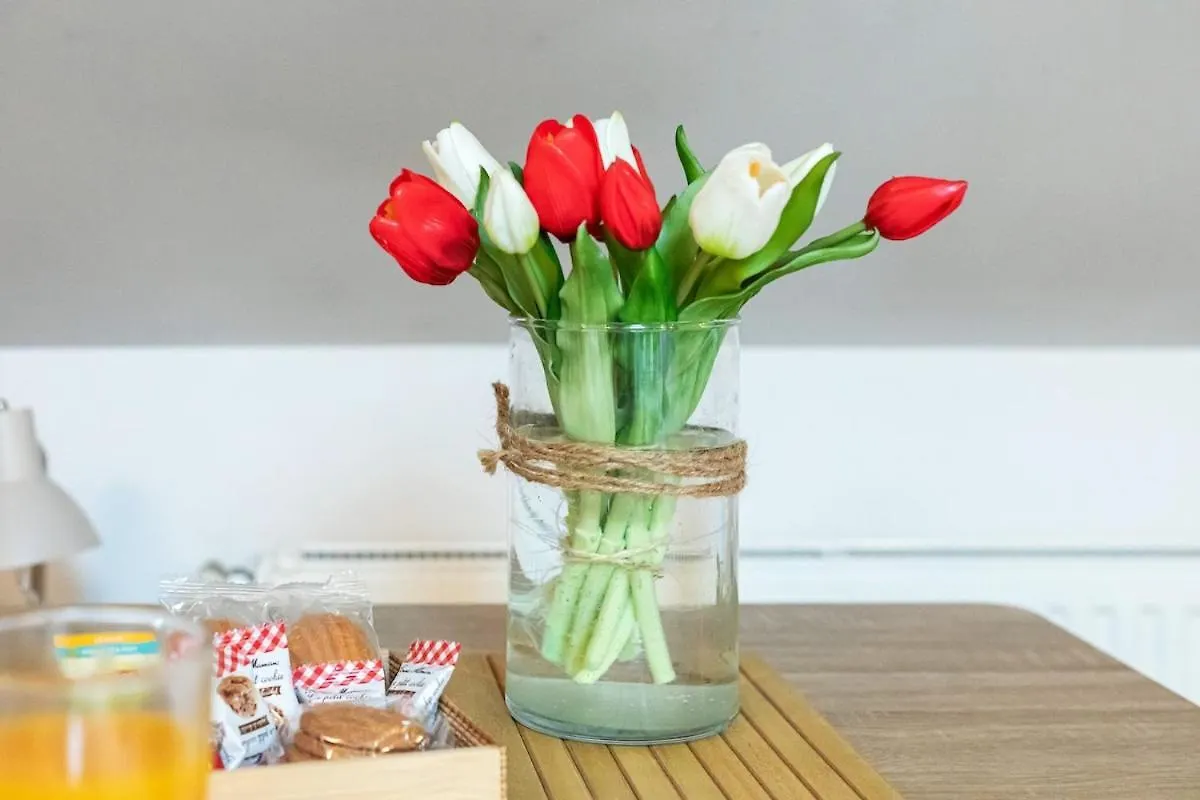 Apartament Le Nid Chromatique, Hyper Centre Palaiseau