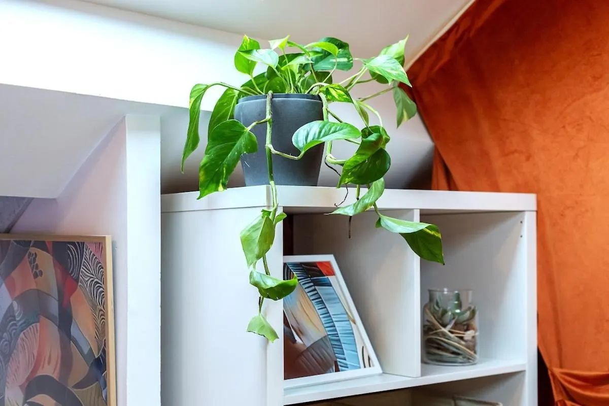 Le Nid Chromatique, Hyper Centre Palaiseau Apartment